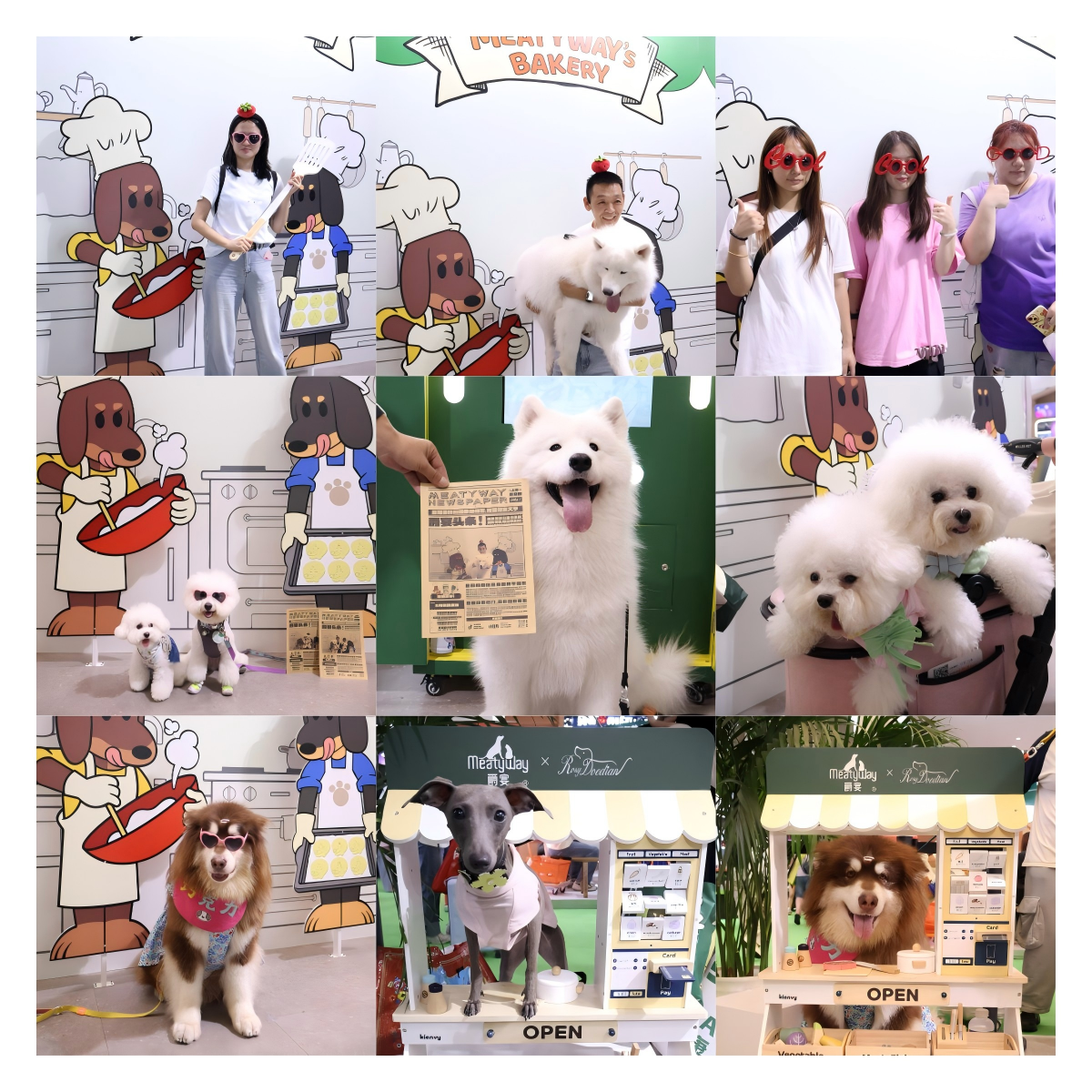 展连续三年拿下“年度实力宠物食品品牌大奖”CQ9电子平台佩蒂股份旗下品牌爵宴在亚宠(图6) 展连续三年拿下“年度实力宠物食品品牌大奖”CQ9电子平台佩蒂股份旗下品牌爵宴在亚宠(图6)