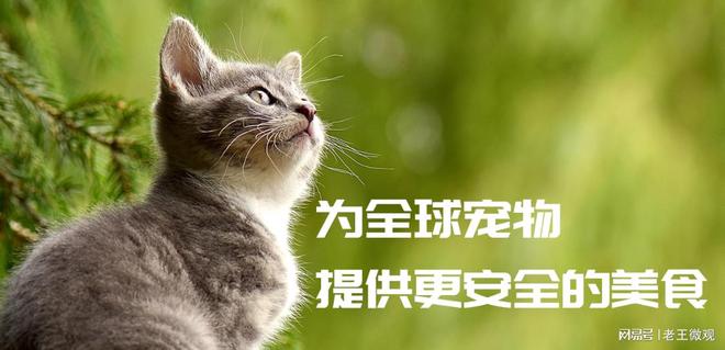 ：匠心品质引领宠物食品新风尚CQ9电子有限公司汉欧宠物(图3)
